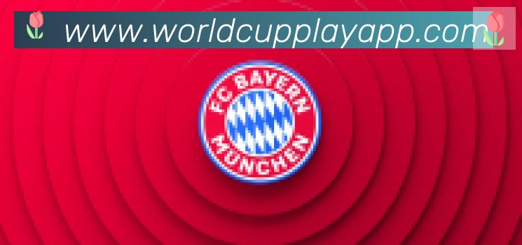 2026世界杯玩法下载合作伙伴
