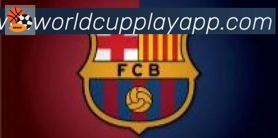 2026世界杯玩法下载合作伙伴